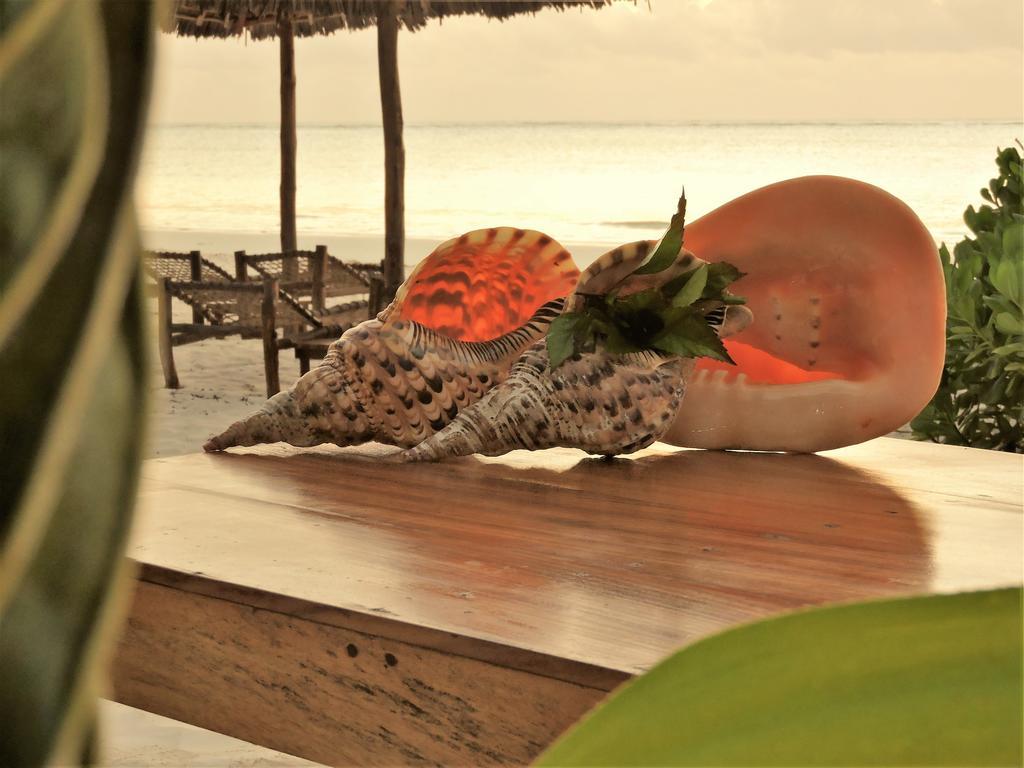 ホテル Mchanga Zanzibar プワニ・チャンガーニ エクステリア 写真